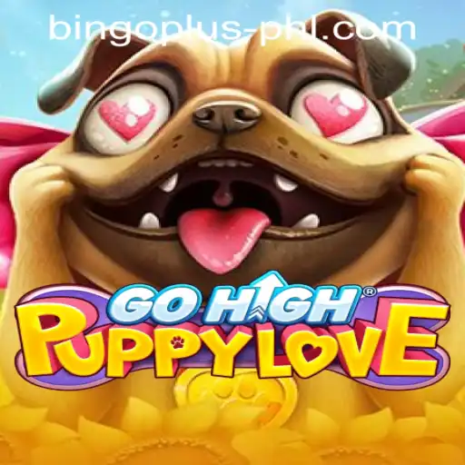 GoHighPuppyLove: An Exploration of Play and Interaction in the Gaming World